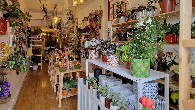 New shop in Cork towns sells plants, gifts... ‘and all the things that I love’ New shop in Cork towns sells plants, gifts... ‘and all the things that I love’