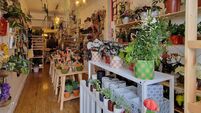 New shop in Cork towns sells plants, gifts... ‘and all the things that I love’ 