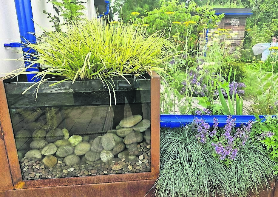 Nicola Haine’s garden ‘Coming Home to Nature’ focuses on managing rainwater using sustainable urban drainage systems Nicola Haine’s garden ‘Coming Home to Nature’ focuses on managing rainwater using sustainable urban drainage systems