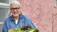 Renowned chef Darina Allen appointed as adjunct professor at UCC