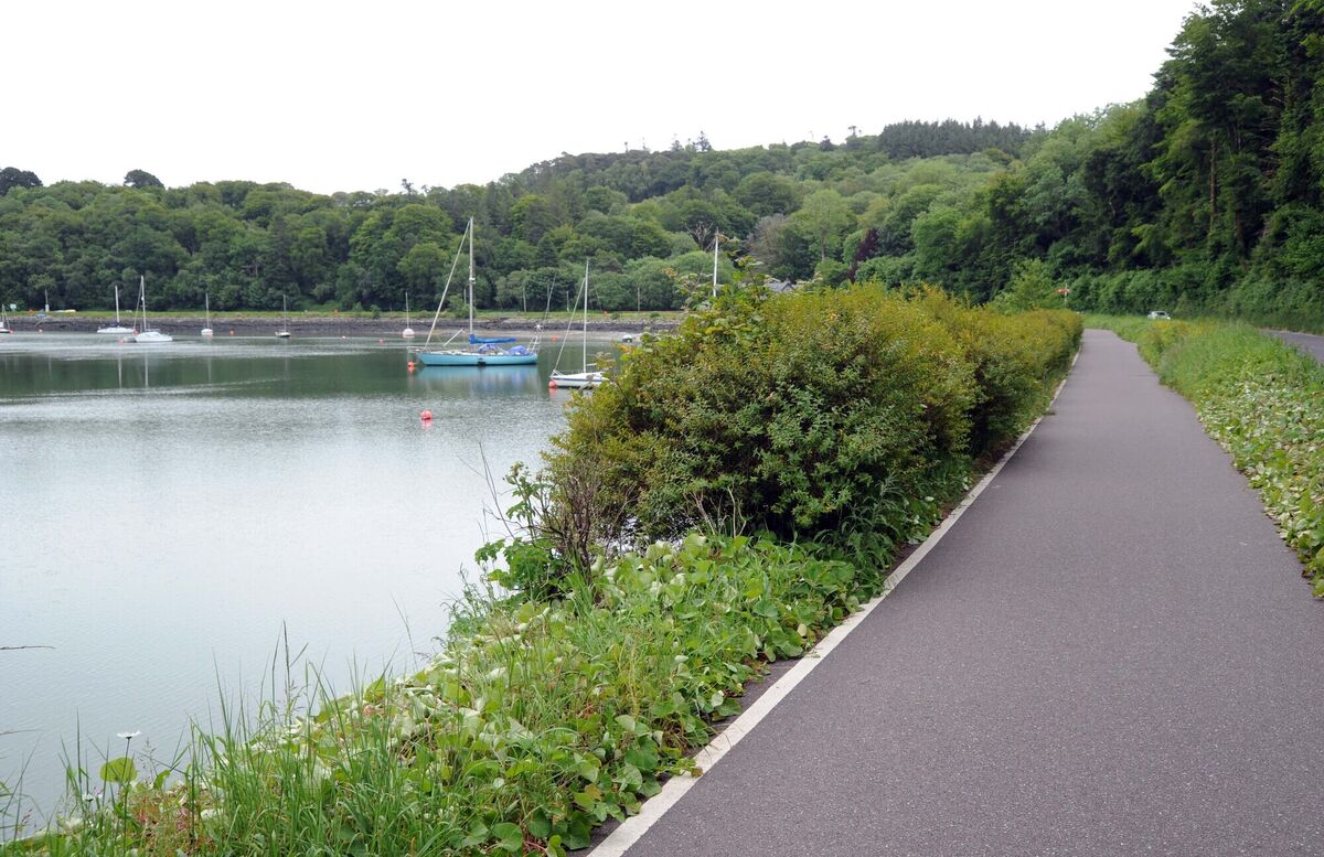 The most recent figures from the Central Statistics Office in April 2022, labels it the largest town in the county, with a population of more than 18,200. Picture Denis Minihane. The most recent figures from the Central Statistics Office in April 2022, labels it the largest town in the county, with a population of more than 18,200. Picture Denis Minihane.