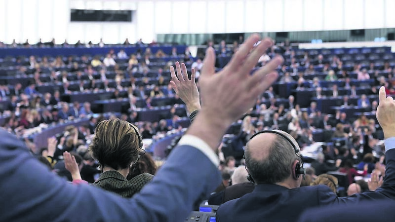 European Elections: What does an MEP do?