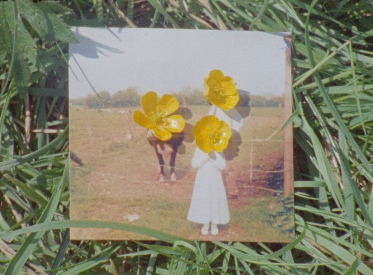 Buttercup production still.