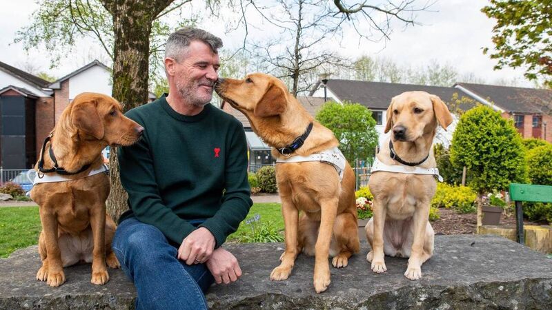 Cork-based charity offering people the chance to chat and dine with Roy Keane