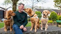 Cork-based charity offering people the chance to chat and dine with Roy Keane