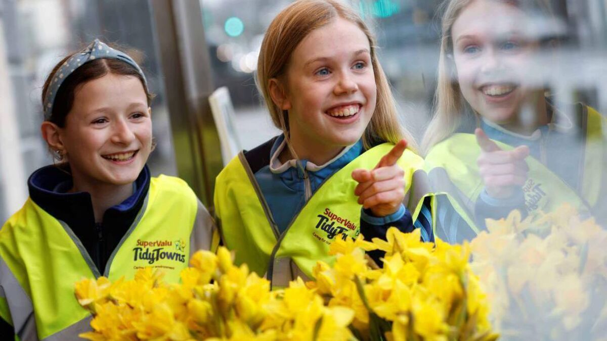 10 tips on how to win Tidy Towns contest