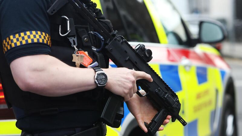 Pitbull terrier shot by gardaí after attacking people in Cork