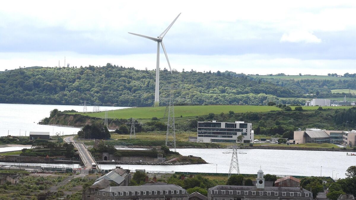 Company behind proposal to build Ringaskiddy incinerator welcomes reactivation of planning application