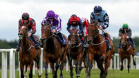 Wayne Lordan onboard Easy Mover comes home to win 7/6/2024