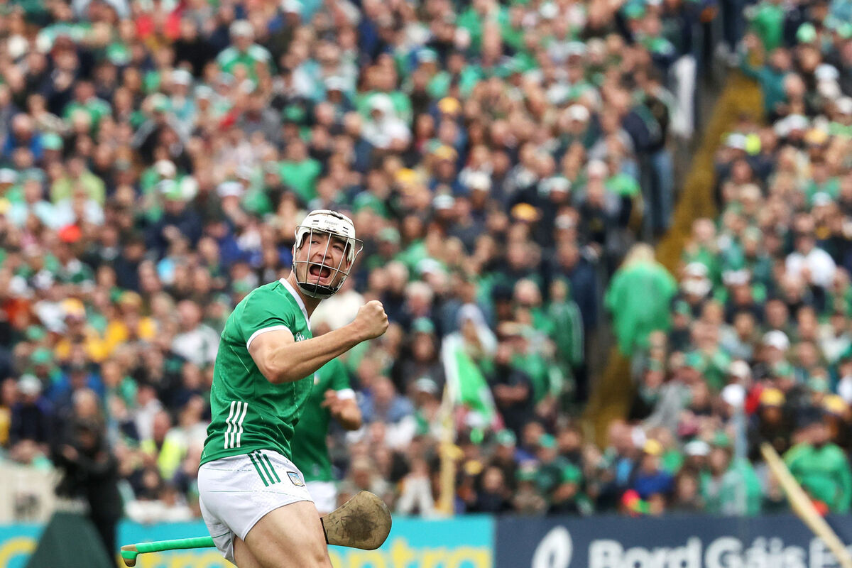 Limerick's Kyle Hayes celebrates a score against Clare in Thurles. Picture: INPHO/Bryan Keane