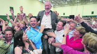 European and local elections