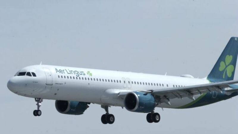 Aer Lingus pilots vote in favour of strike action as fears grow over service disruptions Aer Lingus pilots vote in favour of strike action as fears grow over service disruptions