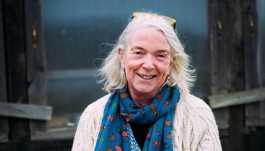 Sally Ferns Barnes. Picture: Paul Sherwood Sally Ferns Barnes. Picture: Paul Sherwood