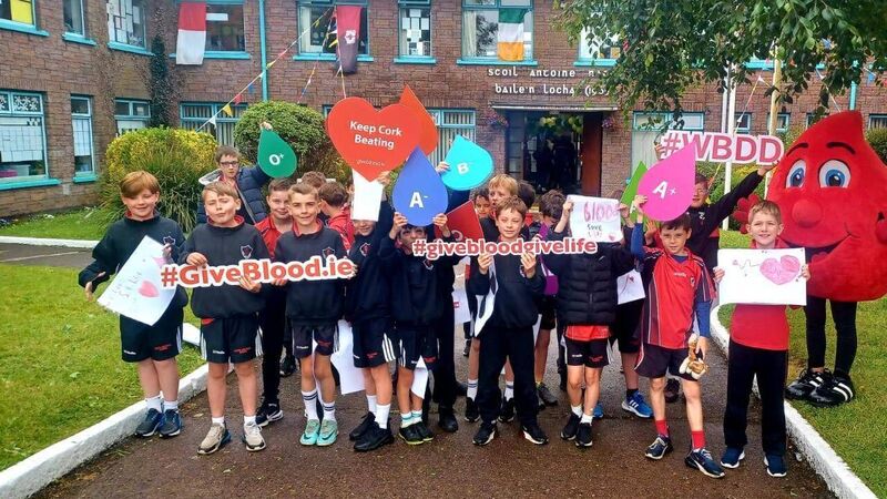 Appeal for Cork blood donors today Appeal for Cork blood donors today