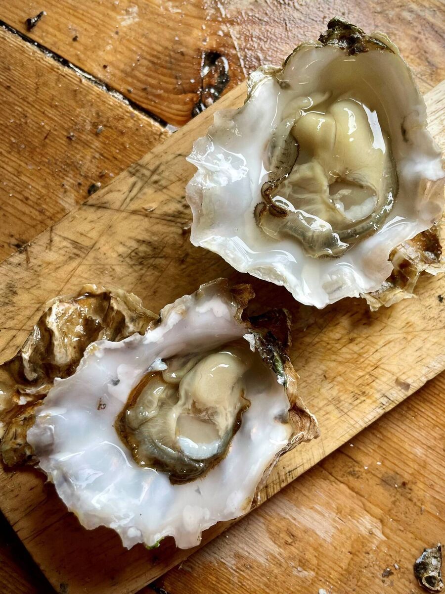 Rossmore Oysters Native Oyster Picture: Kate RYan Rossmore Oysters Native Oyster Picture: Kate RYan