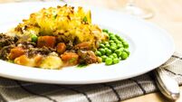 shepherd's pie