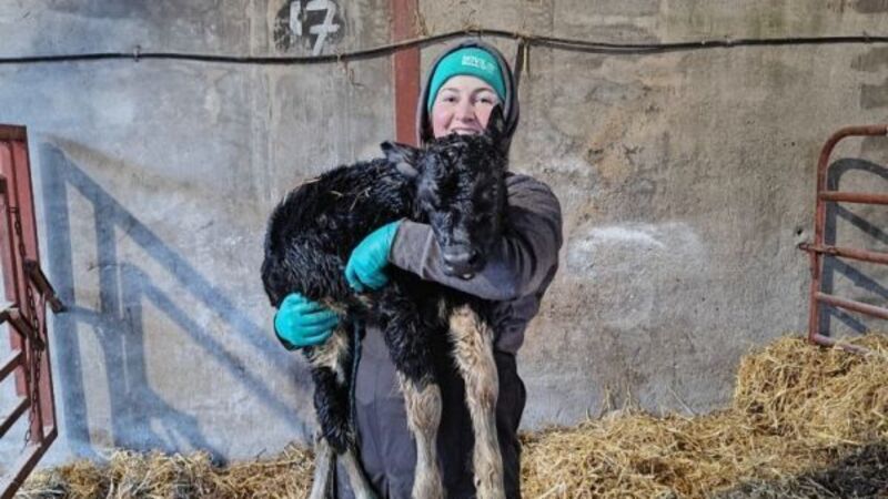Female dairy farmer struggles to find workwear to fit women Female dairy farmer struggles to find workwear to fit women