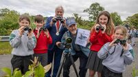 The Mayor of the County of Cork, Cllr. Frank O’Flynn launched the Harper’s Island Wetlands activity workbooks