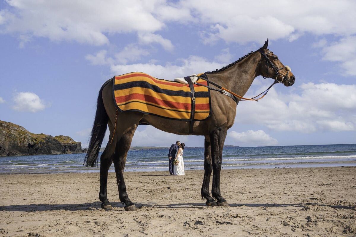 Damut, their horse, had an accident few weeks before the wedding and they were unsure if he would be able to go for photos, but he was, and thanks to the help of their good friend, Jenny, they got some photos. Damut, their horse, had an accident few weeks before the wedding and they were unsure if he would be able to go for photos, but he was, and thanks to the help of their good friend, Jenny, they got some photos.