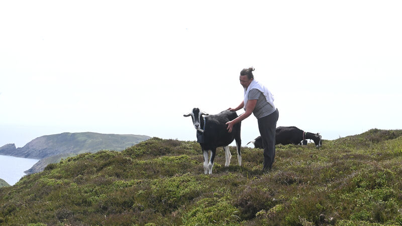 VIDEO: A life of contentment on Cork's Cape Clear island VIDEO: A life of contentment on Cork's Cape Clear island
