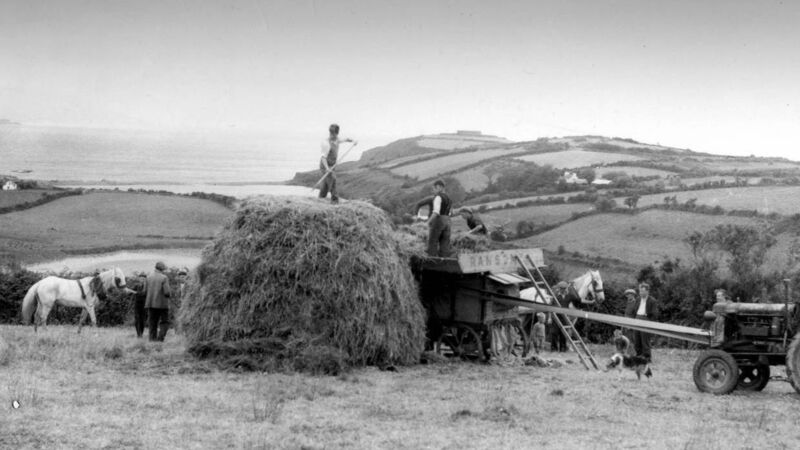 I botched my Leaving 50 years ago, but it put me on right path I botched my Leaving 50 years ago, but it put me on right path