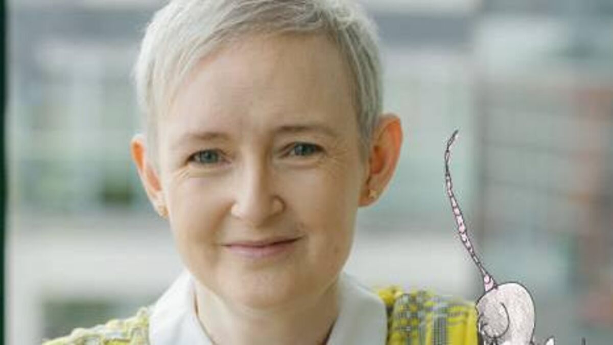 Cork woman: I wrote a children’s book and did the illustrations too!
