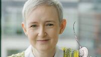 Cork woman: I wrote a children’s book and did the illustrations too!