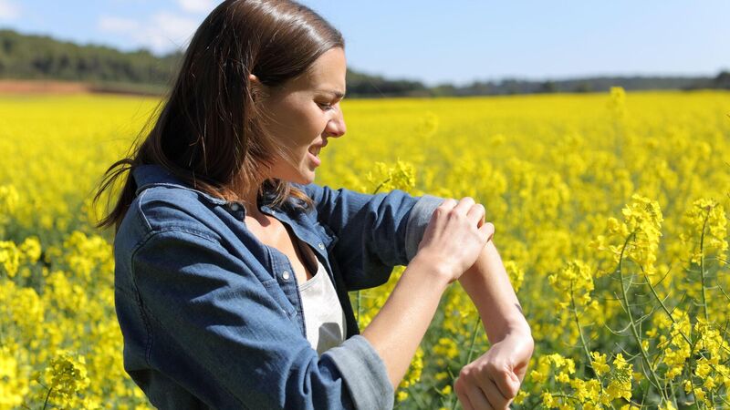 Cork pest control provider reporting 14% increase in callouts for midges Cork pest control provider reporting 14% increase in callouts for midges