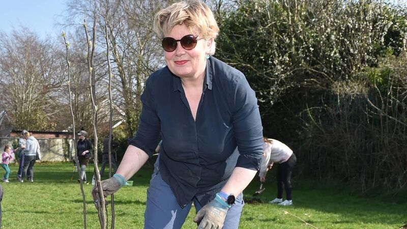 Cork woman’s mission to fill her city with mighty oak trees Cork woman’s mission to fill her city with mighty oak trees