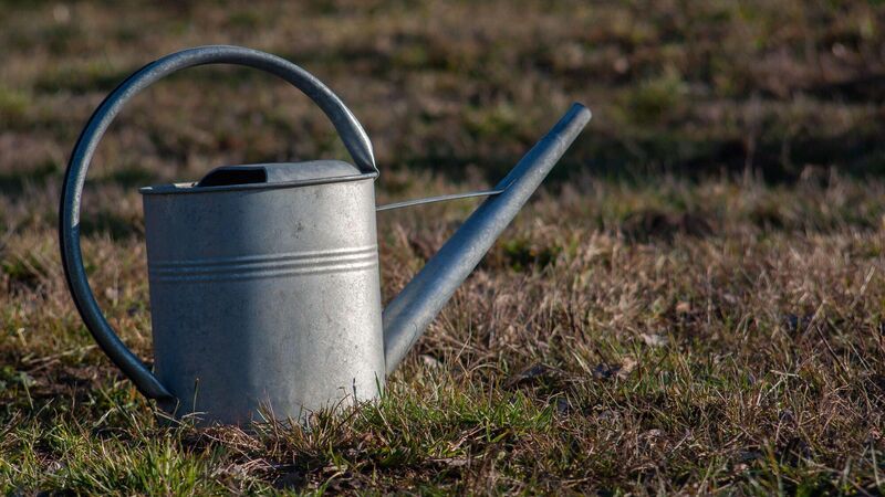 Cork weather station records driest June in six years Cork weather station records driest June in six years