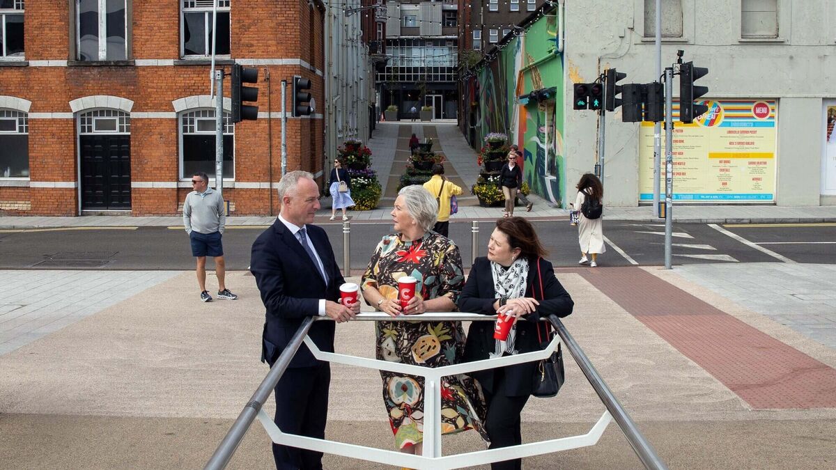 Ambitious plans to enhance Cork city centre come under the spotlight