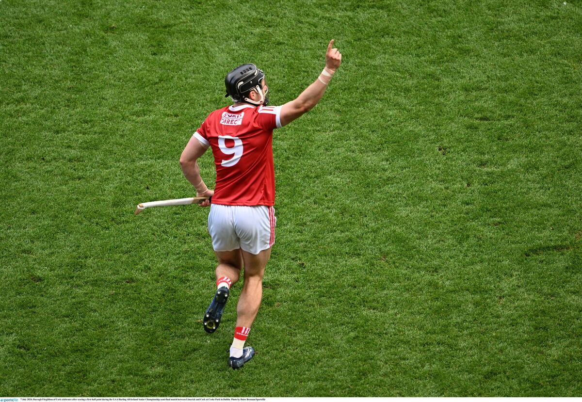 Darragh Fitzgibbon celebrates after one of his points. Picture: Daire Brennan/Sportsfile