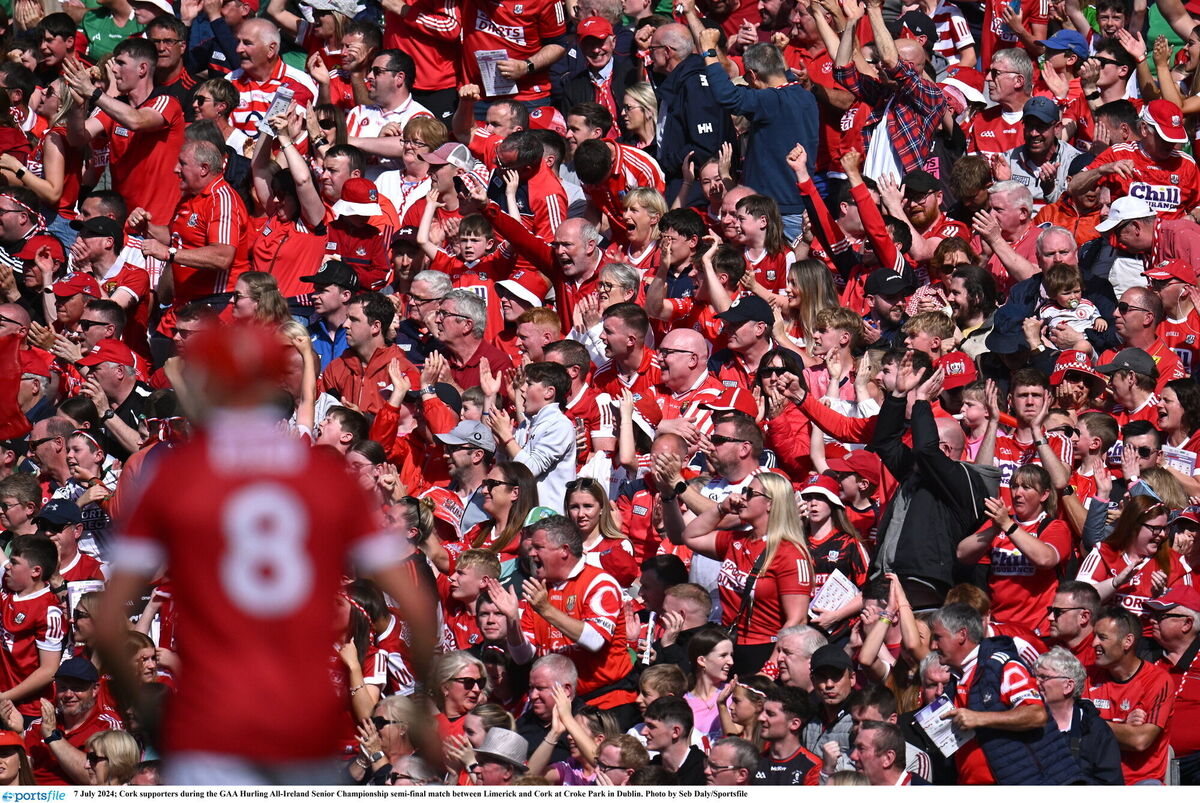 Cork supporters celebrate a score against Limerick at Croke Park. Picture: Seb Daly/Sportsfile