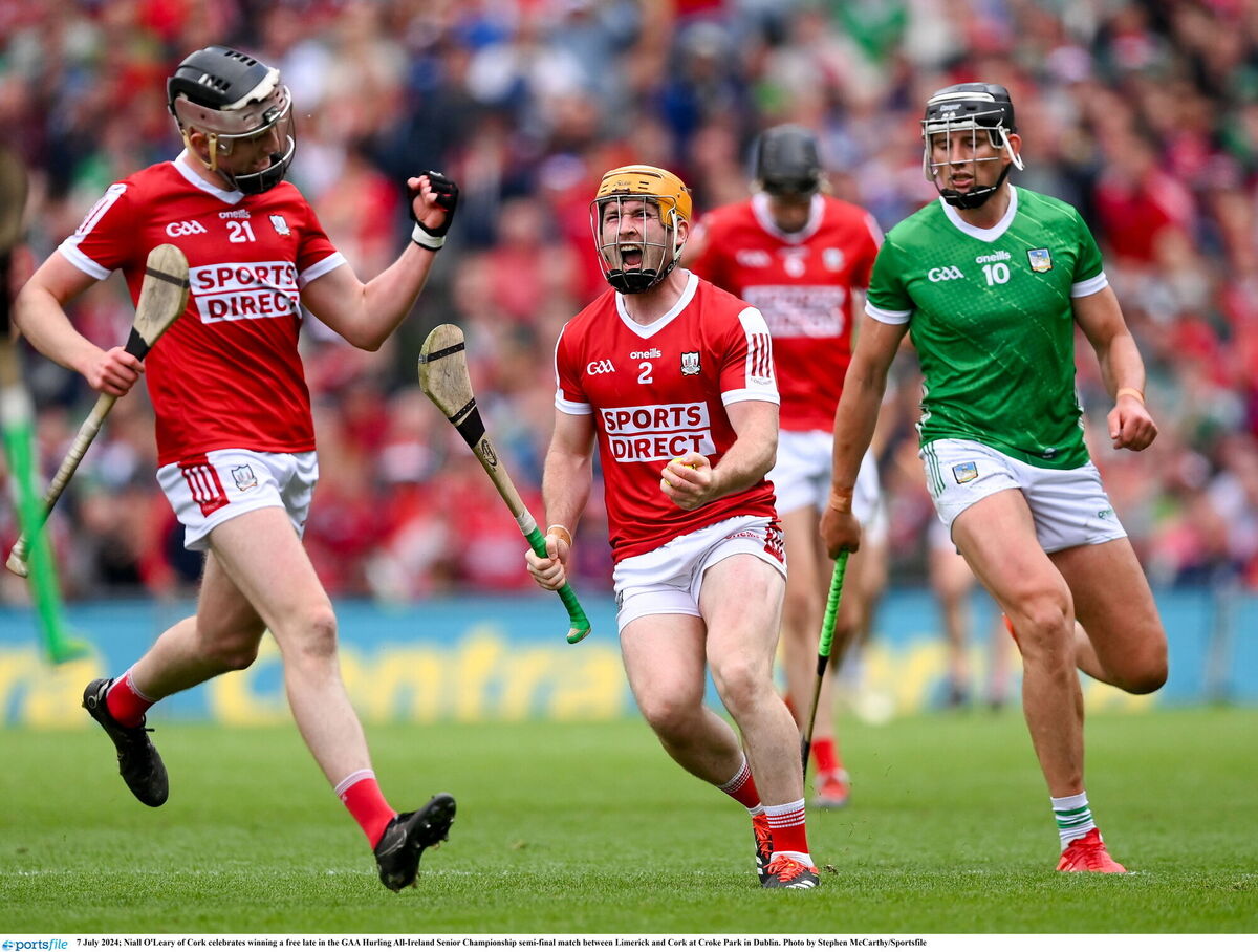 Cork's Niall O'Leary and Ethan Twomey celebrate winning a free late on in the win over Limerick. Picture: Stephen McCarthy/Sportsfile
