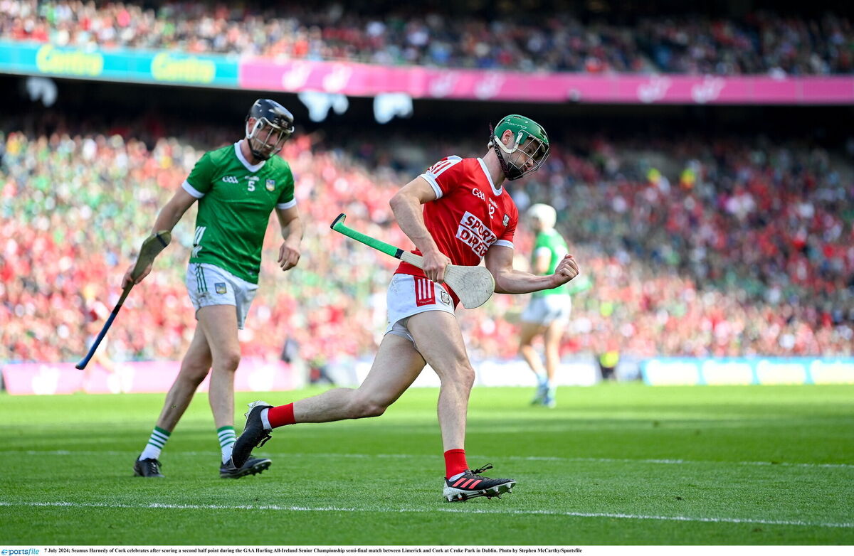 Séamus Harnedy of Cork celebrates after scoring a second-half point. Picture: Stephen McCarthy/Sportsfile