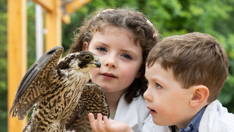 Cork's Fota Wildlife Park to host series of family-friendly educational events Cork's Fota Wildlife Park to host series of family-friendly educational events