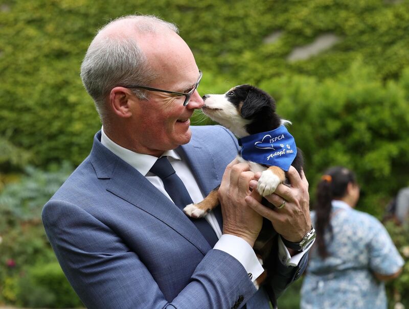 Simon Coveney TD pictured with 8-week-old sprinter puppy “ Lewis “ as the ISPCA celbrates 75 years of unwavering commitment to protecting, rehabilitating, and responsibly rehoming animals across Ireland at an event held in the Mansion House, Dublin. Pic. Robbie Reynolds