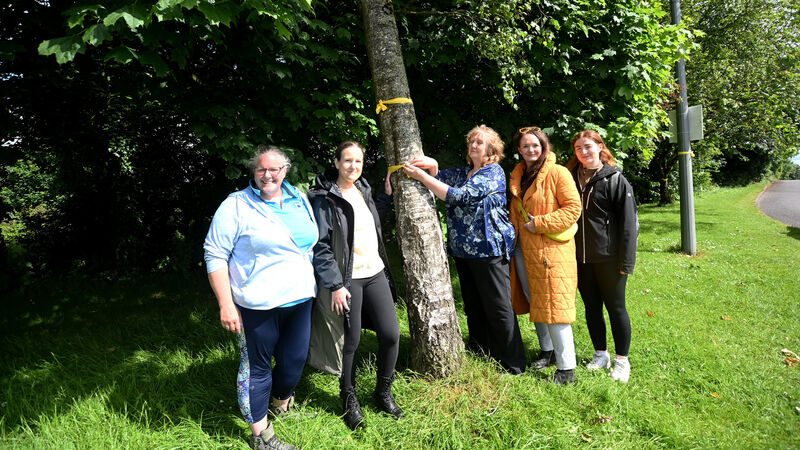 Charity expresses wildlife concerns over Cork BusConnects proposals