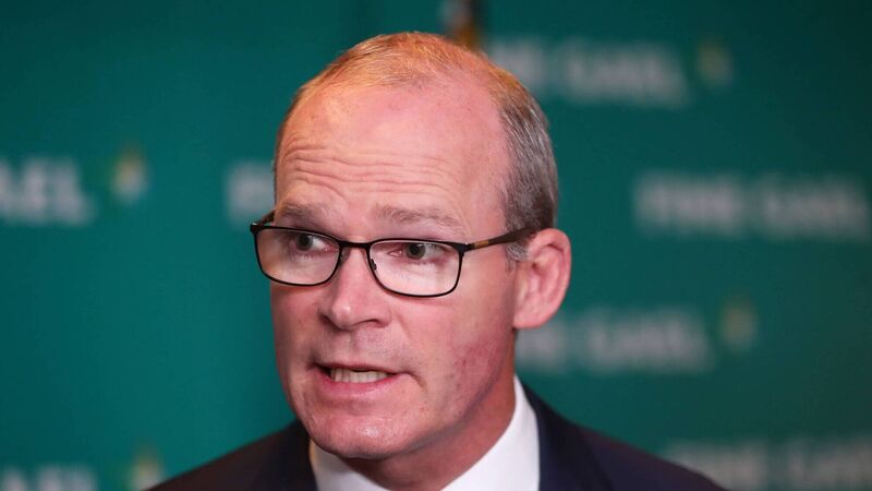 Simon Coveney: A TD, an MEP, and many times a minister Simon Coveney: A TD, an MEP, and many times a minister