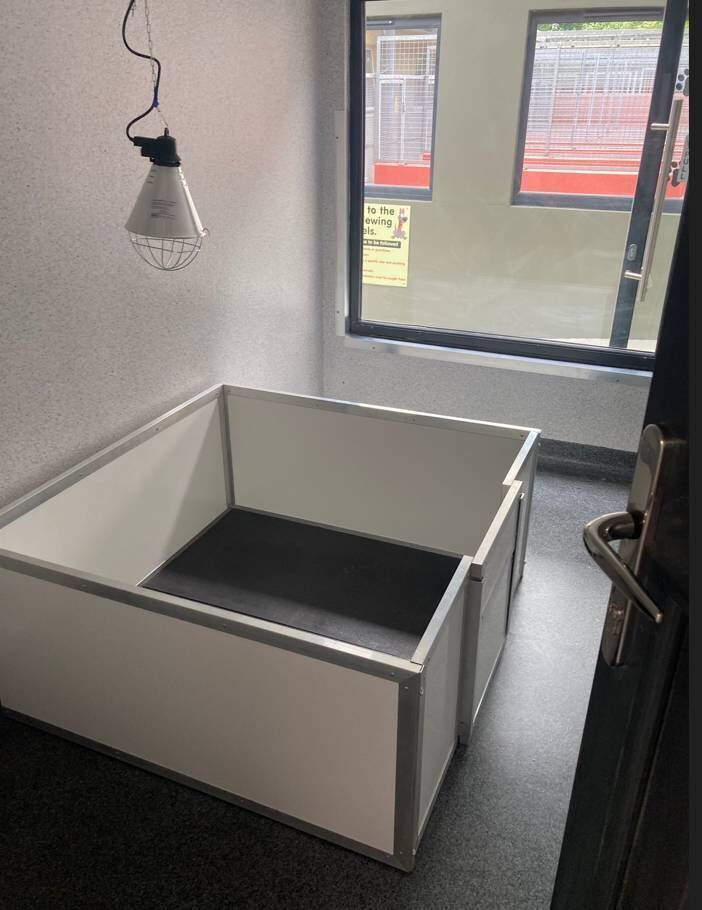 Upgrade works to the CSPCA's facility in Mahon were recently completed. Photo shows one of the new puppy pens. Upgrade works to the CSPCA's facility in Mahon were recently completed. Photo shows one of the new puppy pens.