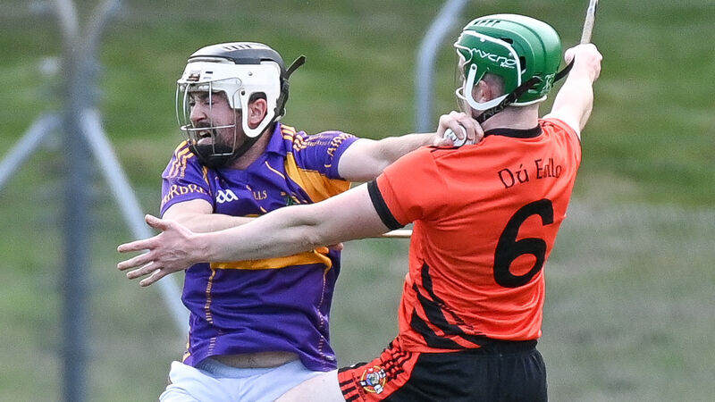 Ballinascarthy are Red FM Division 7 hurling league champions after victory over Kinsale