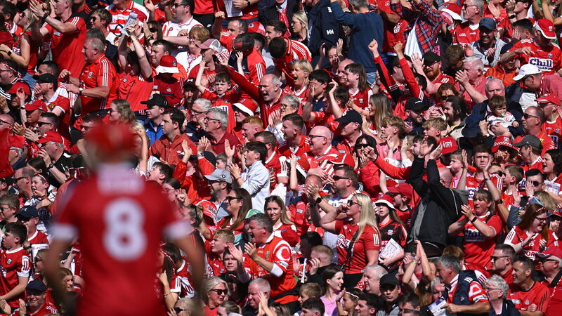 Rebels' Fanzone to be set up at SuperValu Páirc Uí Chaoimh on Sunday Rebels' Fanzone to be set up at SuperValu Páirc Uí Chaoimh on Sunday