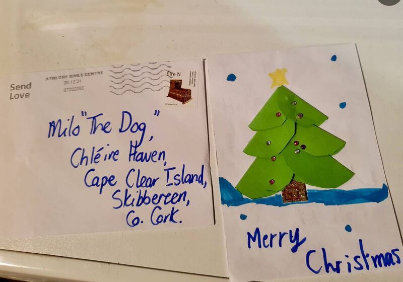 A postcard sent to Milo the Dog.