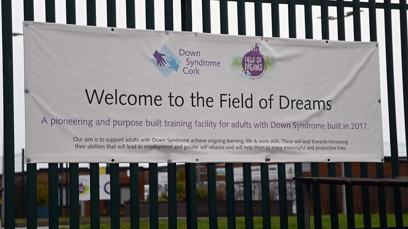 Energy upgrades at Cork's ‘Field of Dreams’ is a game-changer