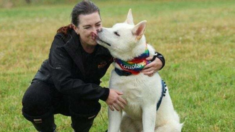 DSPCA reports surge in multiple breeds of teenage dogs being surrendered DSPCA reports surge in multiple breeds of teenage dogs being surrendered