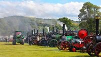 Steam rally