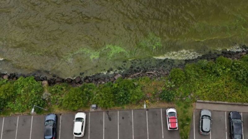 Scale of change needed to tackle Lough Neagh problems 'unprecedented' Scale of change needed to tackle Lough Neagh problems 'unprecedented'
