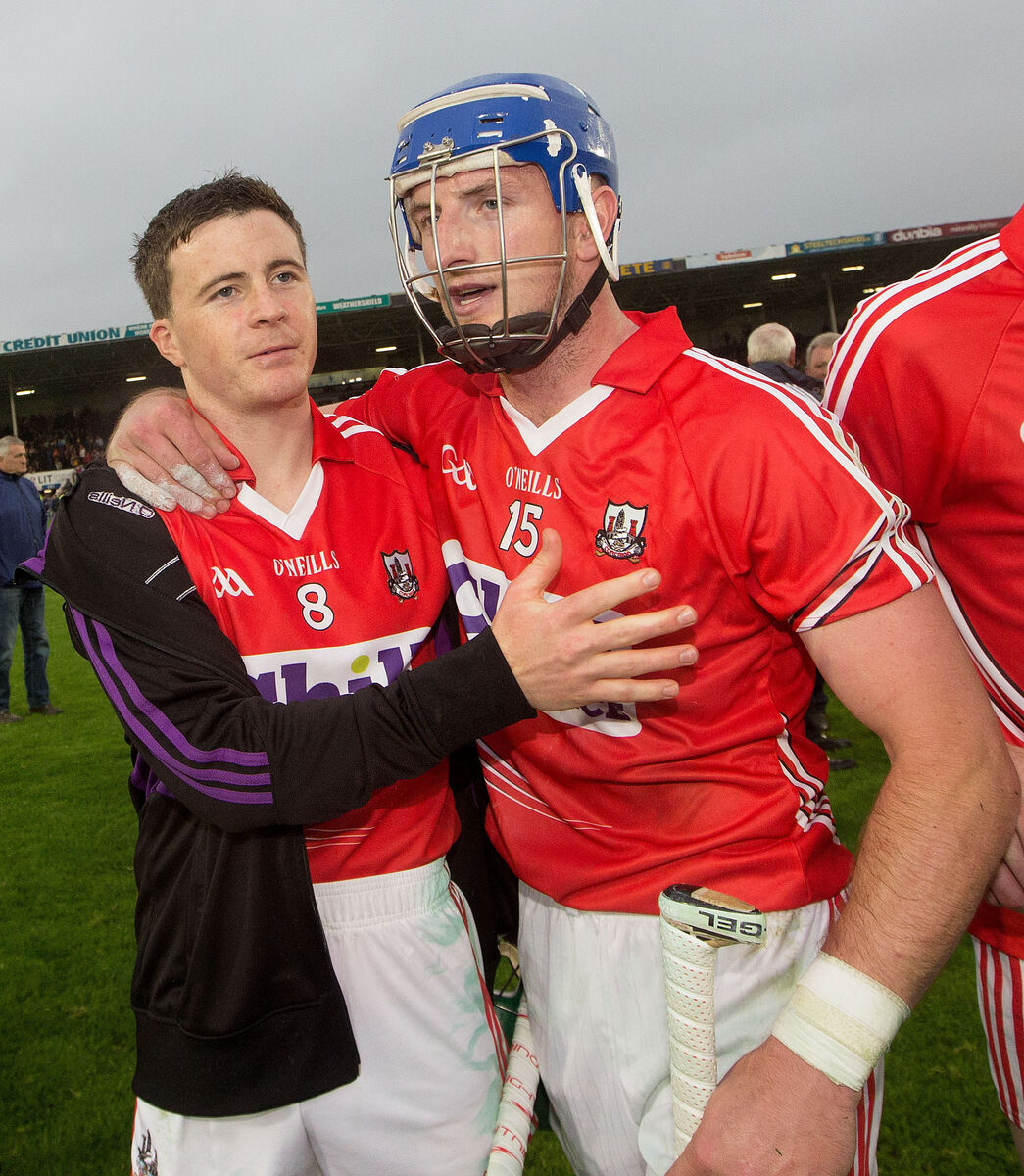 Daniel Kearney and Patrick Horgan celebrate in 2015. Picture: INPHO/James Crombie