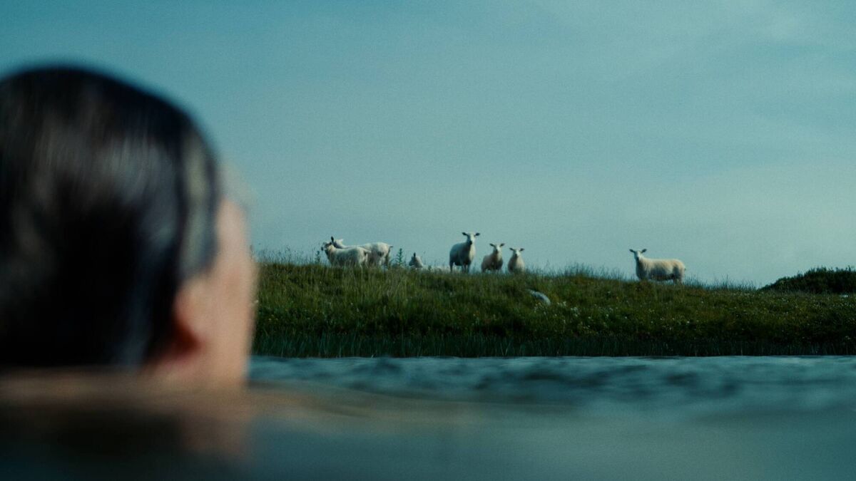 Orla Barry watches her sheep while having a swim in the film Notes From Sheepland Orla Barry watches her sheep while having a swim in the film Notes From Sheepland