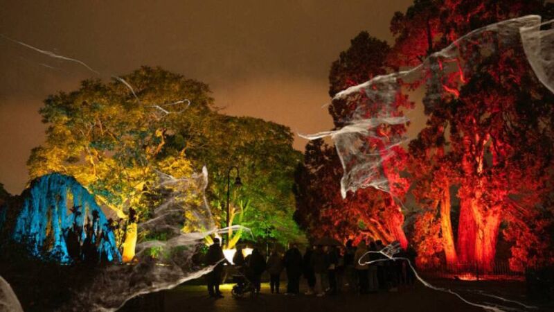 A treat for the senses at Skibbereen Arts Festival